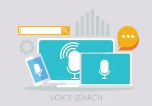 Voice search