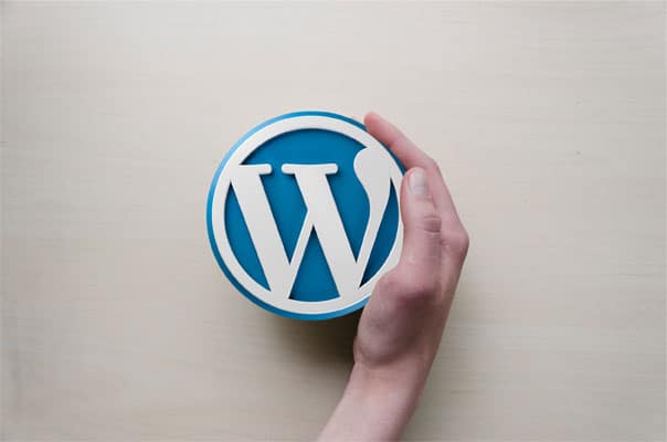 Tips For DIY WordPress Websites