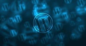 Expert WordPress Support