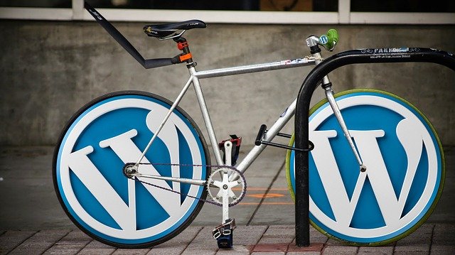 How WordPress Started and Where it is Going