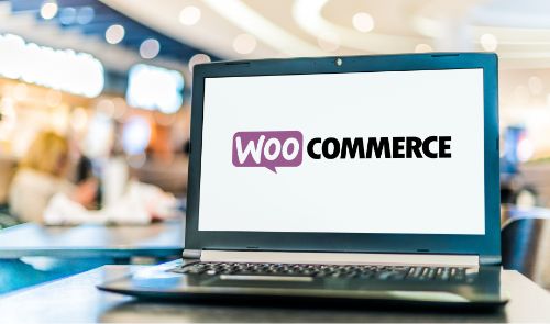 WooCommerce Website Support Services