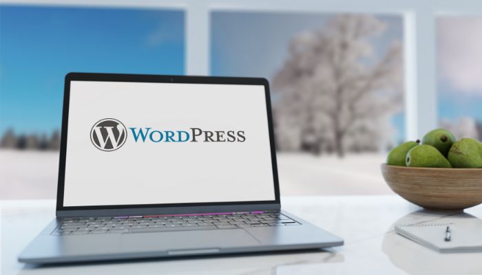 WordPress Website