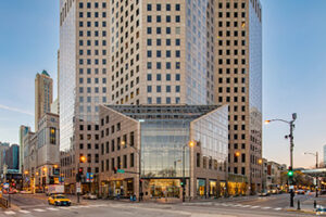 980-N-Michigan-Ave-chicago-internet-marketing-services-pest-control chicago internet marketing services pest control