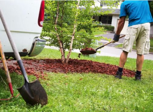 Chicago internet marketing services for landscapers