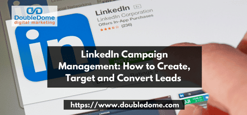 linkedin campaign management represenation