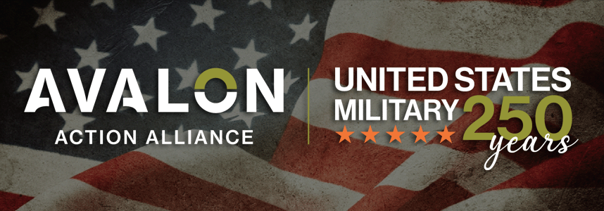 avalon-doubledome-web-design