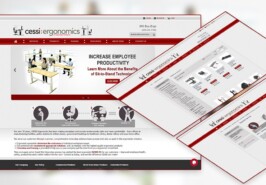 Cessi.com