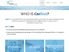 CorRisk Solutions